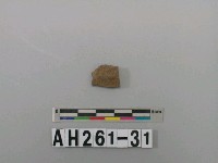 藏品(硬陶腹片)的圖片